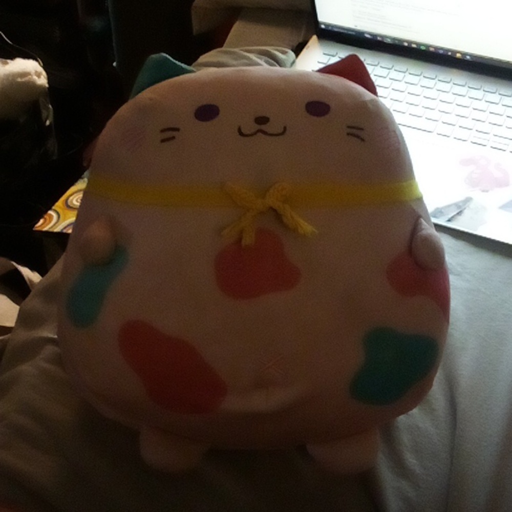 12" Mochipuni Picnyan Yumekawa Cat Nyanko